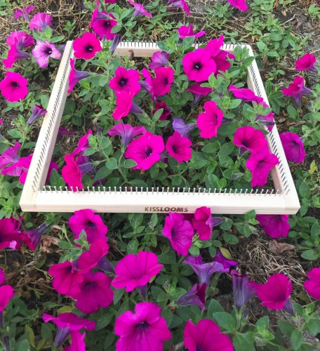12 square